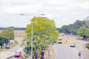 Glorieta de Mocarí