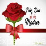 A todas las madres con vida del Mundo Felicitaciones en su día y a las fallecidas Descansen en Paz y brille para ellas la Luz perpetua.