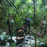 Fueron encontrados con vida los 4 niños del accidente aéreo, luego perdidos en la selva del Guaviare
