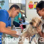 Iniciaron jornadas de esterilización para mascotas en Montería