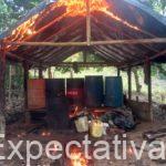 Más de 50 laboratorios para el procesamiento de pasta base de coca han sido destruidos por el Ejército Nacional en Córdoba y Antioquia durante el 2025