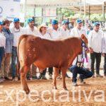 Éxito total en la primera Exposición Nacional de Romosinuano en la Feria Nacional de la Ganadería