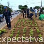Transformar y recuperar espacios, un compromiso de la Alcaldía para embellecer a Montería