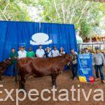 Córdoba vivió la mejor feria ganadera de su historia: gobernador Erasmo Zuleta