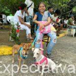 Alcaldía supera los 3.000 animales esterilizados tras jornada del fin de semana en la Comuna 4