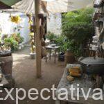 En el Festival de la Leyenda Vallenata en Valledupar muestran la Casa festivalera, en la feria de Montería es el «pueblito cordobés», pero a éste le falta la casa con techo de palma y paredes de bahareque embarada con estiercol de ganado … es decir la casa campesina …
