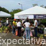 ¡El campo llega a la ciudad! Segundo Mercado Campesino de 2025 se realizará este sábado en La Castellana
