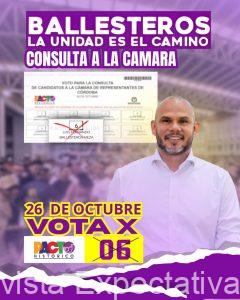 PUBLICIDAD POLITICA DEMOCRATICA: Invitan a votar por los tarjetones de la Consulta Popular